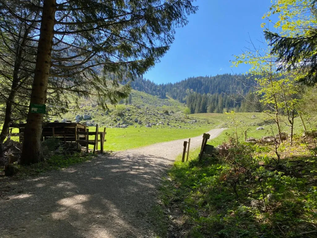Natur am Schliersee
